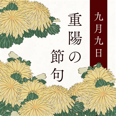 九菊|重陽の節句